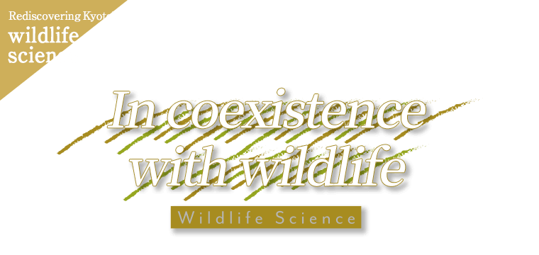 Rediscovering KyotoU wildlife science In coexistence with wildlife