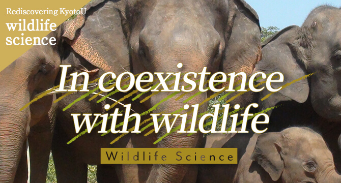 Rediscovering KyotoU wildlife science In coexistence with wildlife