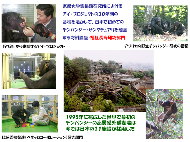 京都大学霊長類研究所におけるアイ・プロジェクトの３０年間の蓄積を活かして、日本で初めてのチンパンジー・サンクチュアリを運営する寄附講座・福祉長寿研究部門