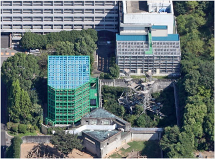 In the WISH Cage and the Research Resource Station, Chimpanzees are Moving and Foraging Freely