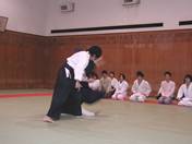 Aikido Performance