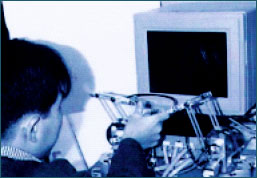rakuyu6_a3.jpg figure3