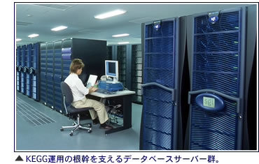KEGG運用の根幹を支えるデータベースサーバー群。