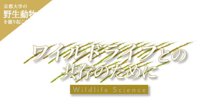 京大野生動物学を掘り起こす ワイルドライフとの共存のために