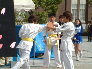 紅萠祭3