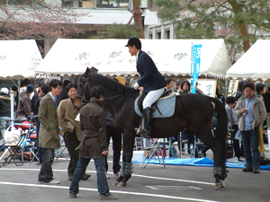 紅萠祭5