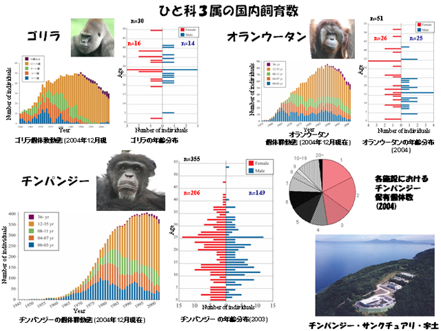 ひと科３属の国内飼育数