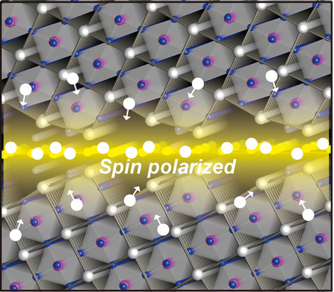 Multi-Physics in Nanostructures