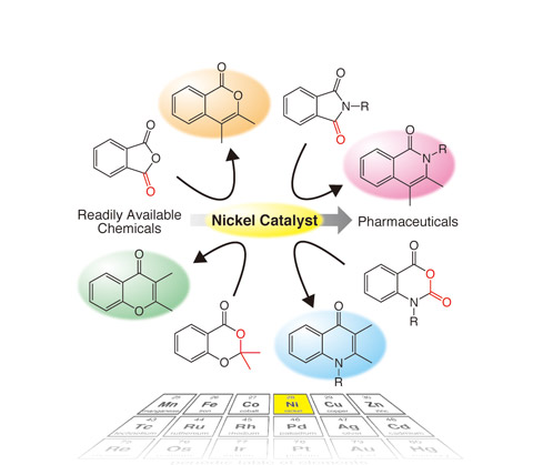 What Does a Catalyst Do?