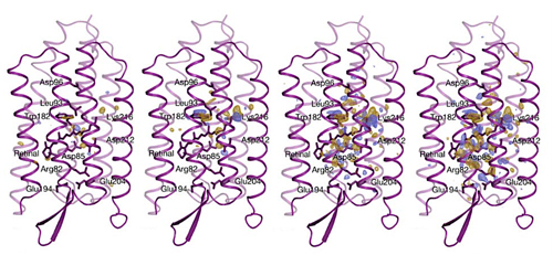 Proteins at the movies