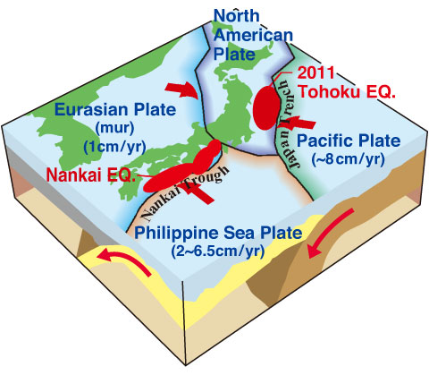 Earthquake Cycle Simulation