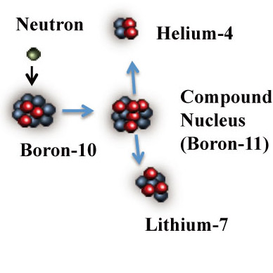 Attacking Cancer with Neutrons