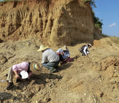 Searching for Primate Fossils in Southeast Asia