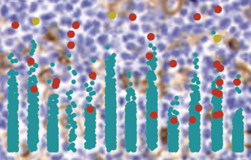 Cancer cell immunity in the crosshairs: worth the expense?