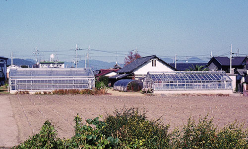 The Laboratory of Crop Evolution