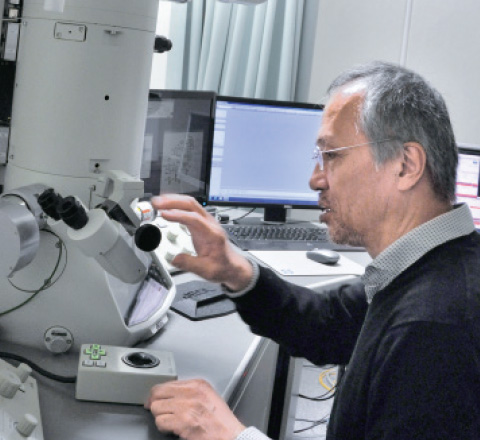 電子顕微鏡で観察をしている土山教授