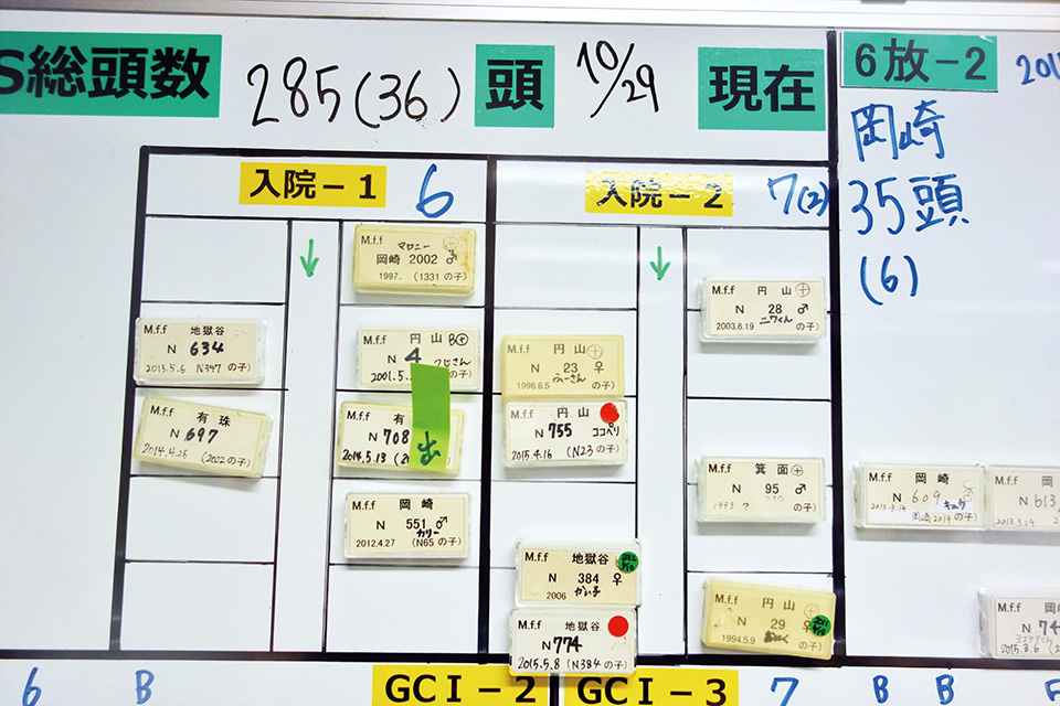 事務室のホワイトボード