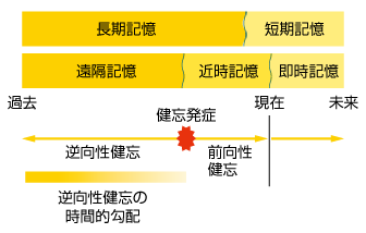 臨床神経学と心理学における用語の時間的関係