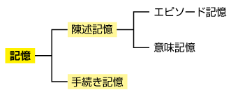 京都大学広報誌人文・社会科学系科目群 教育・心理・社会（各論）神経心理学I                        記憶は脳の中でどのように表現される？人の記憶の過程とその脳内機構