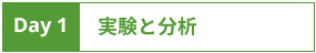 DAY 1 実験と分析