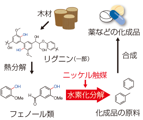 フェノール類を有用な原料に効率よく変える反応