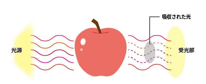 光の吸収と成分量の相関