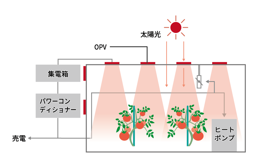 OPVの仕組み