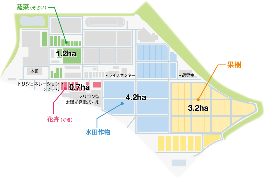 施設のマップ