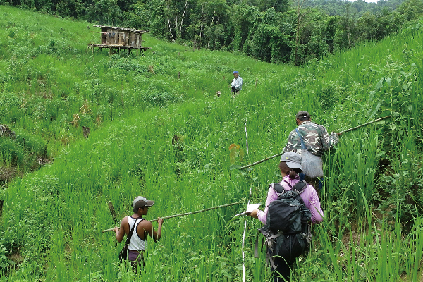 バゴー山地の焼畑と二次林におけるNTFPとしての野生植物