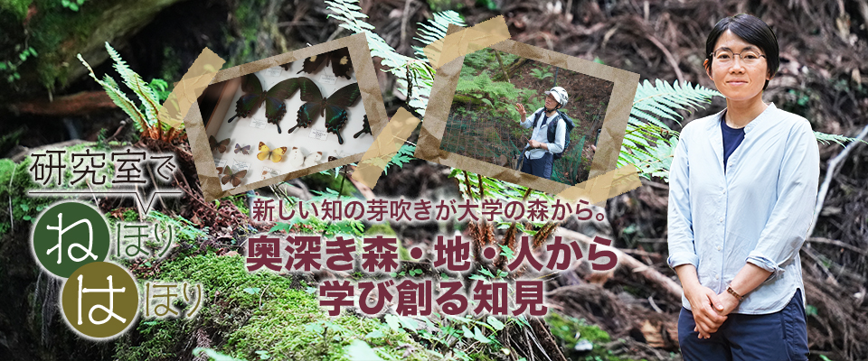 研究室でねほりはほり