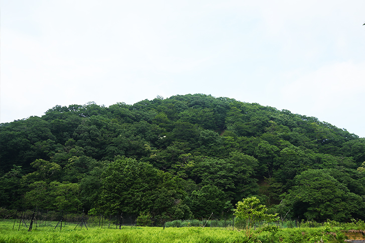 山