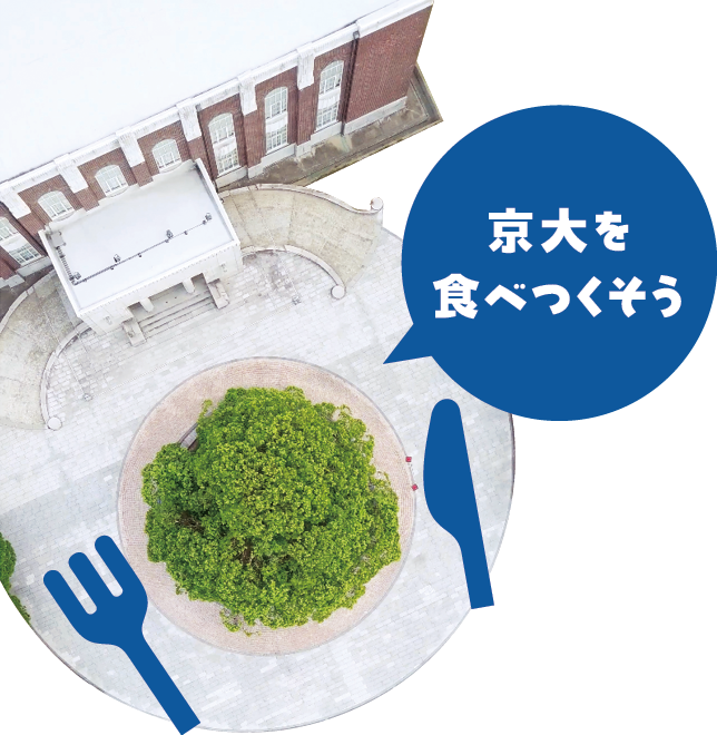 クスノキを上空から見た写真