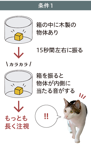 条件1