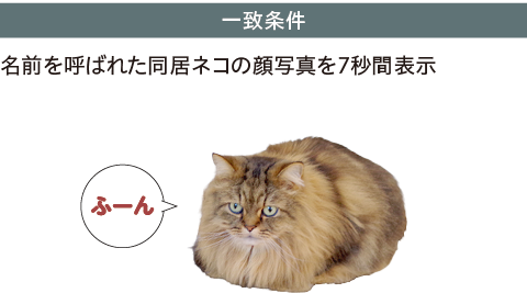 一致条件