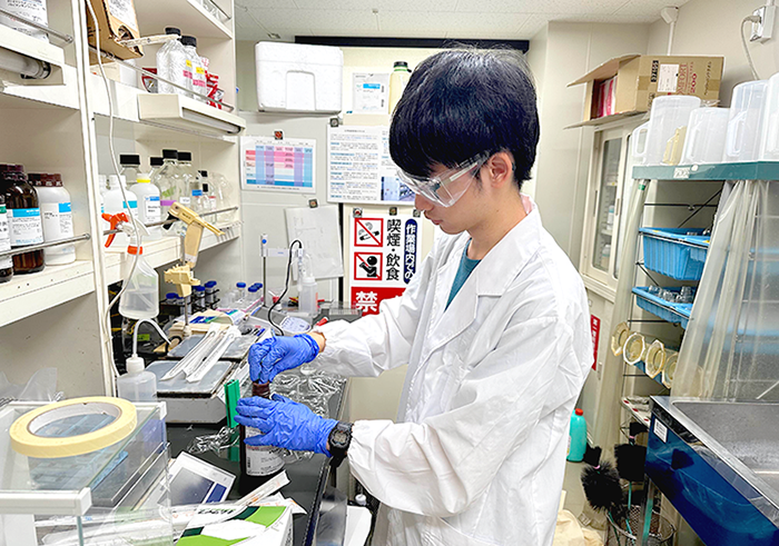 実験の様子