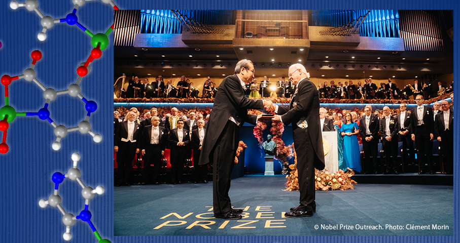 紅萠第49号 表紙