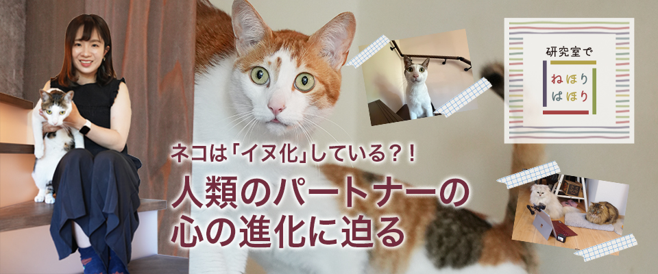 研究室でねほりはほり