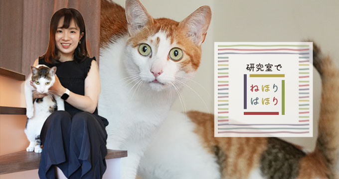 ネコは「イヌ化」している？！人類のパートナーの心の進化に迫る
