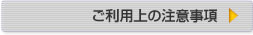 ご利用上の注意事項へ