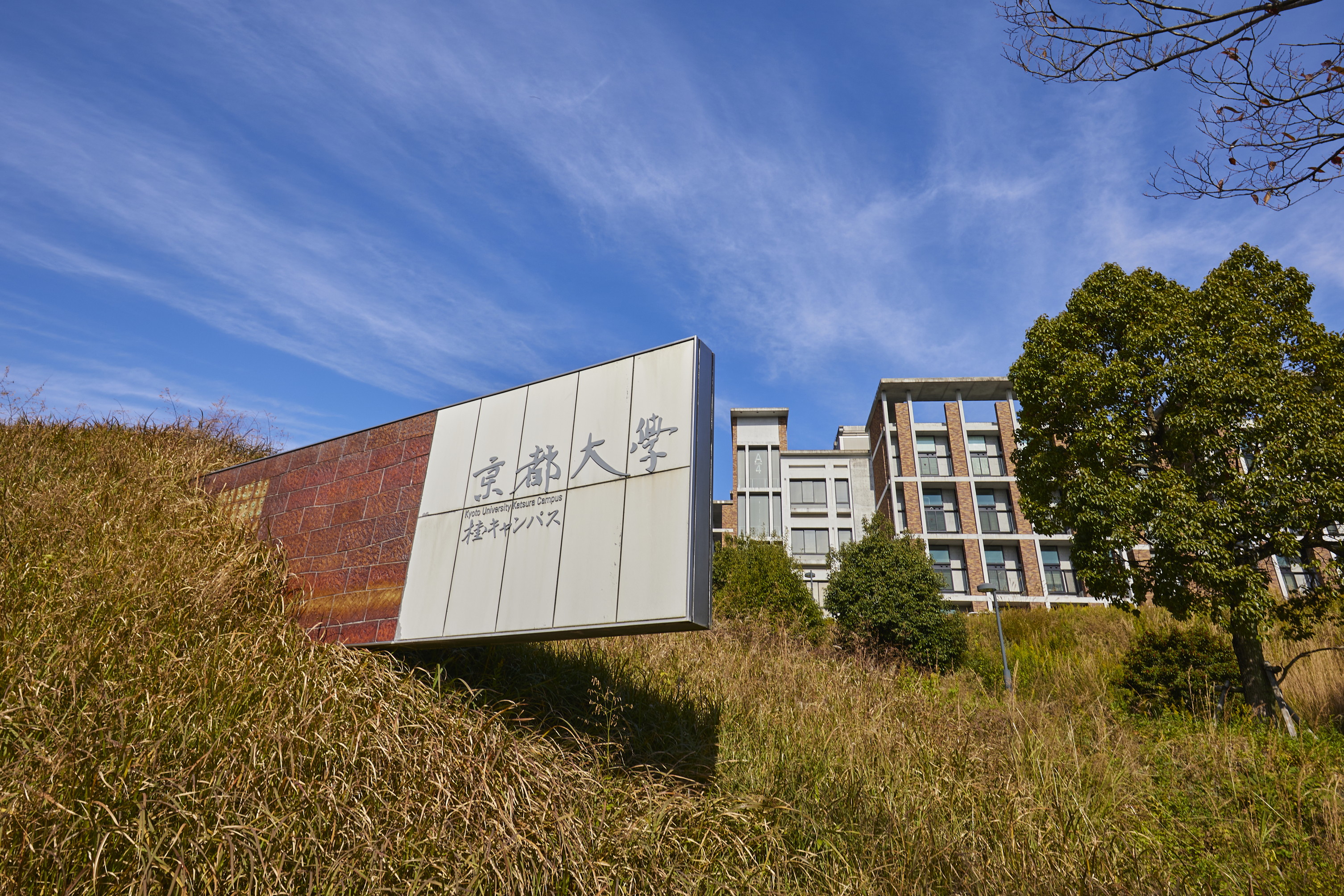 京都 大学 桂 キャンパス どこに 住む