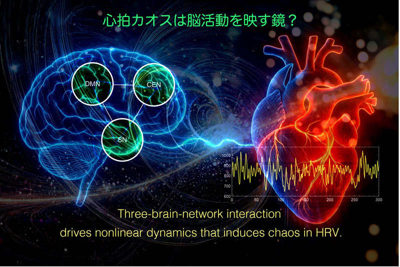 脳の負荷、心拍で可視化―心拍のゆらぎのカオス解析から脳活動の影響を示唆―ストレス評価や心不全の早期兆候検出への応用可能性