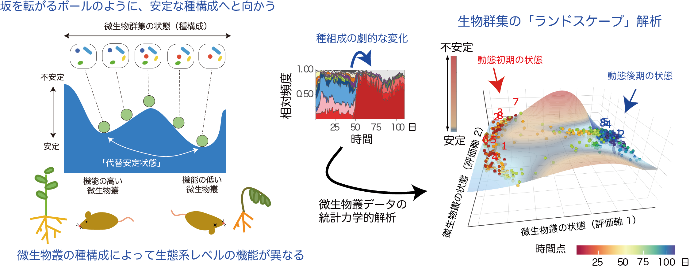 生態系の動態を予測・制御するデータ分析の体系化―微生物叢の「崩壊」はなぜ起こるのか―