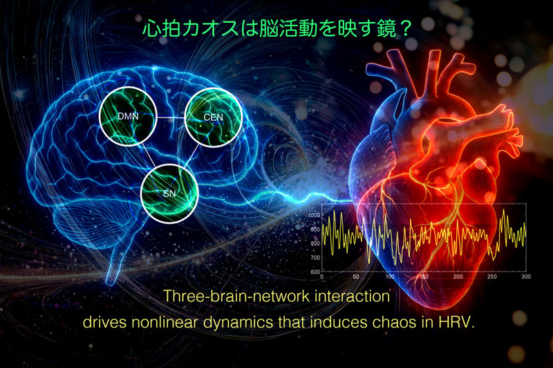 2604_main_umeno_Heart-and-Brain.jpg 