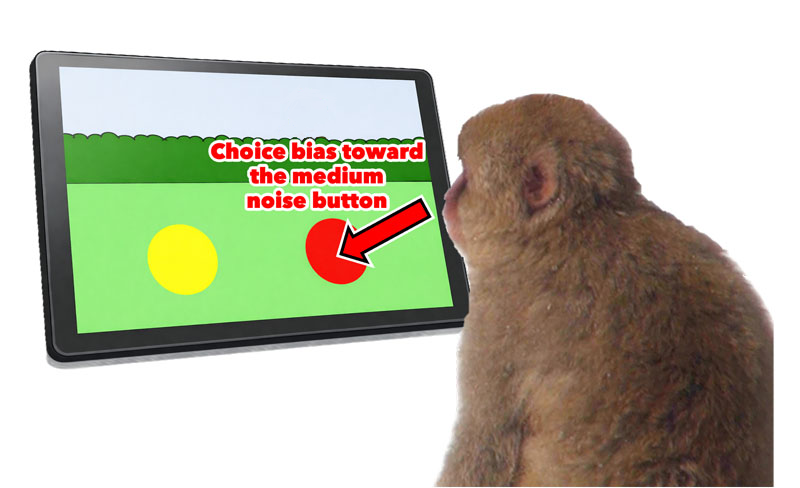 2604_main_iki_monkey-playing-videogames-copy.png 