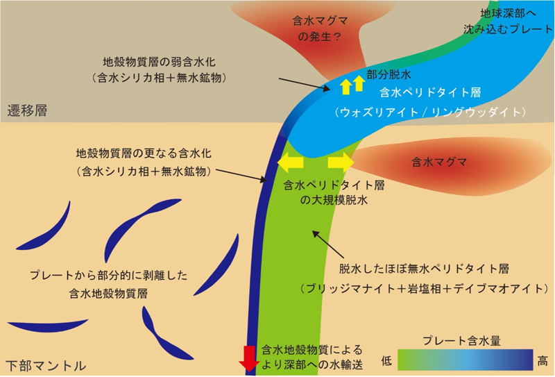 2608-main-Itoh.jpg
