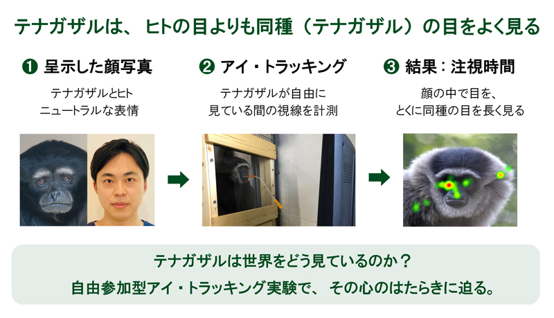 2608-main-Uchikoshi.jpg 