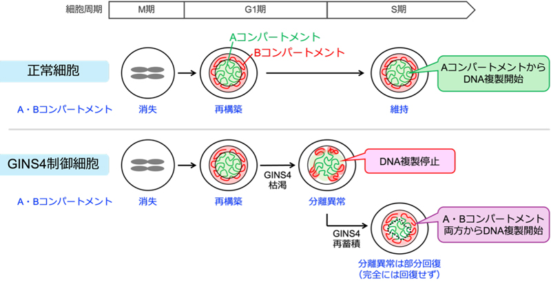 2608-main-yusa.jpg 