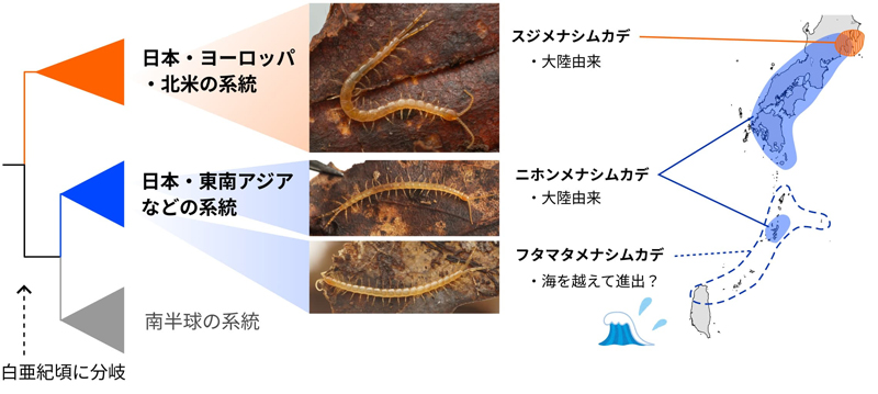 2609-main-Jonishi.jpg
