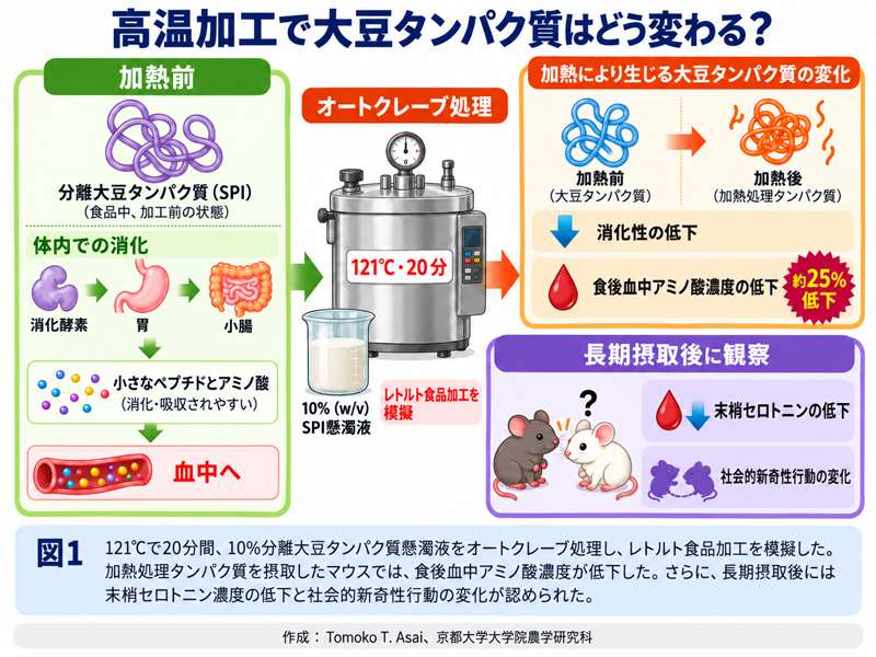 2609-main-asai.jpg 