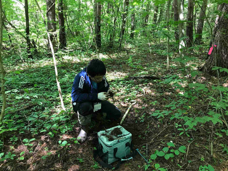2610-main-Toju_field-work-in-Nagano.jpg 